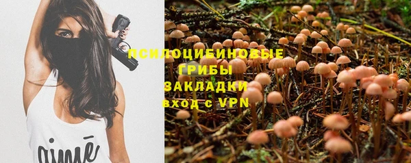 mix Медногорск