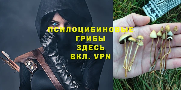 мет Абаза