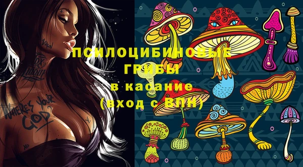 мет Абаза
